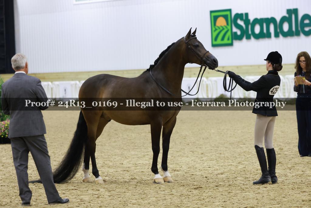 Proof 24R13_01169