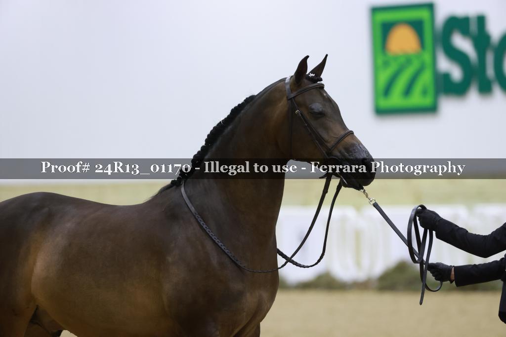 Proof 24R13_01170