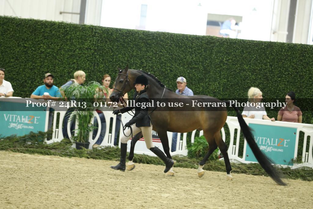 Proof 24R13_01172