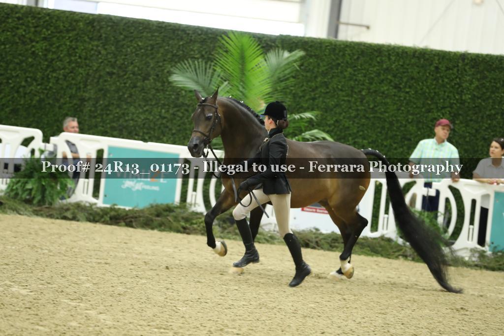 Proof 24R13_01173