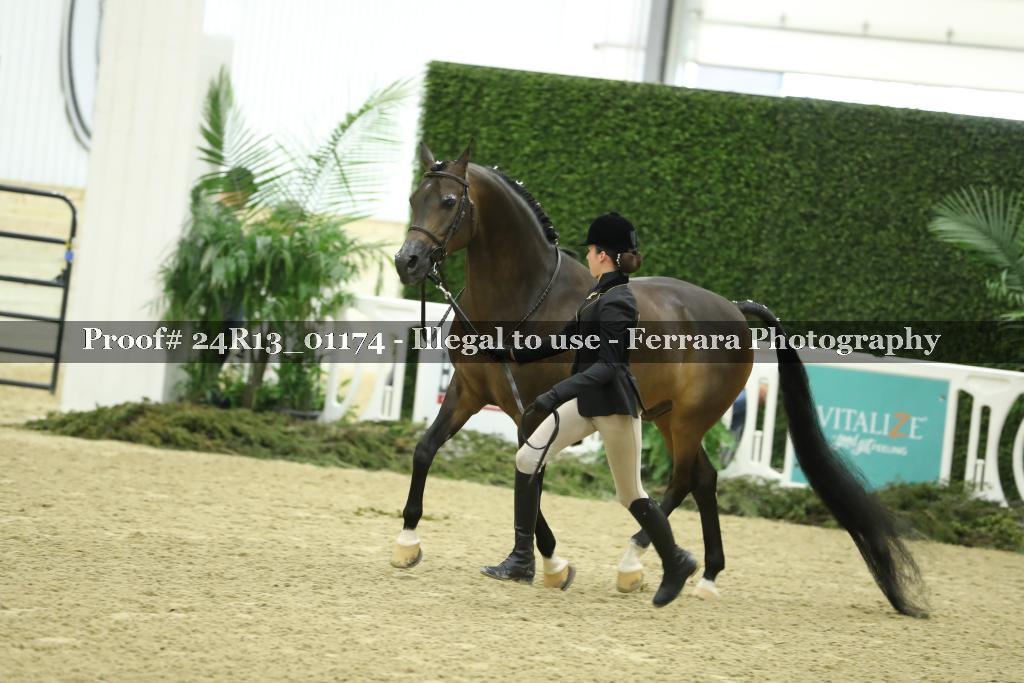 Proof 24R13_01174