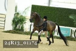 24R13_01174 proof