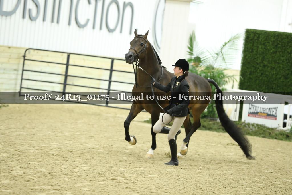 Proof 24R13_01175