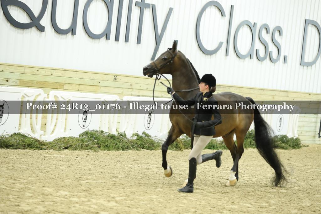 Proof 24R13_01176