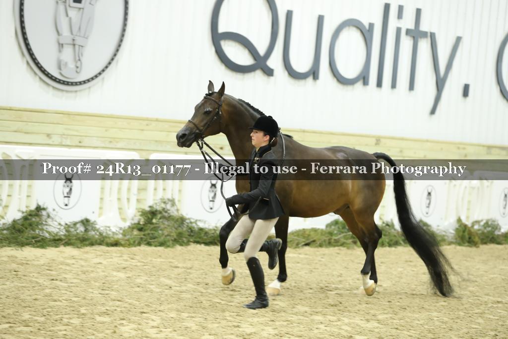 Proof 24R13_01177