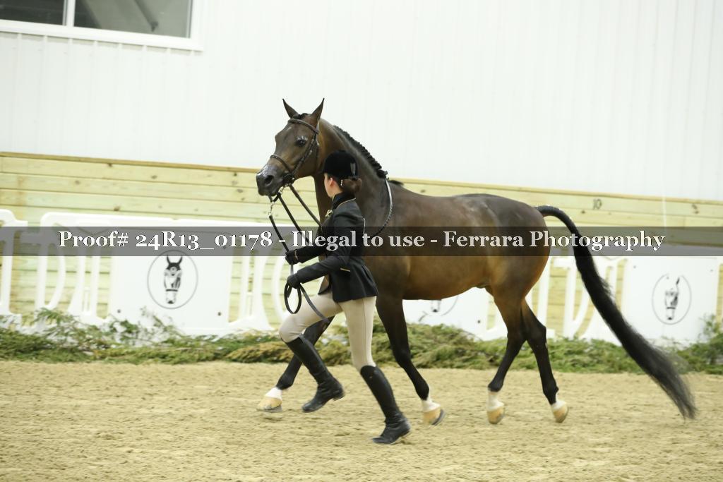 Proof 24R13_01178