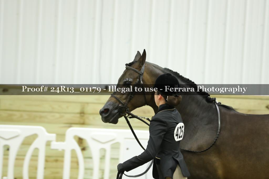Proof 24R13_01179