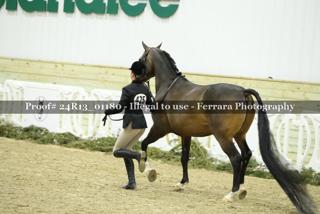Proof 24R13_01180