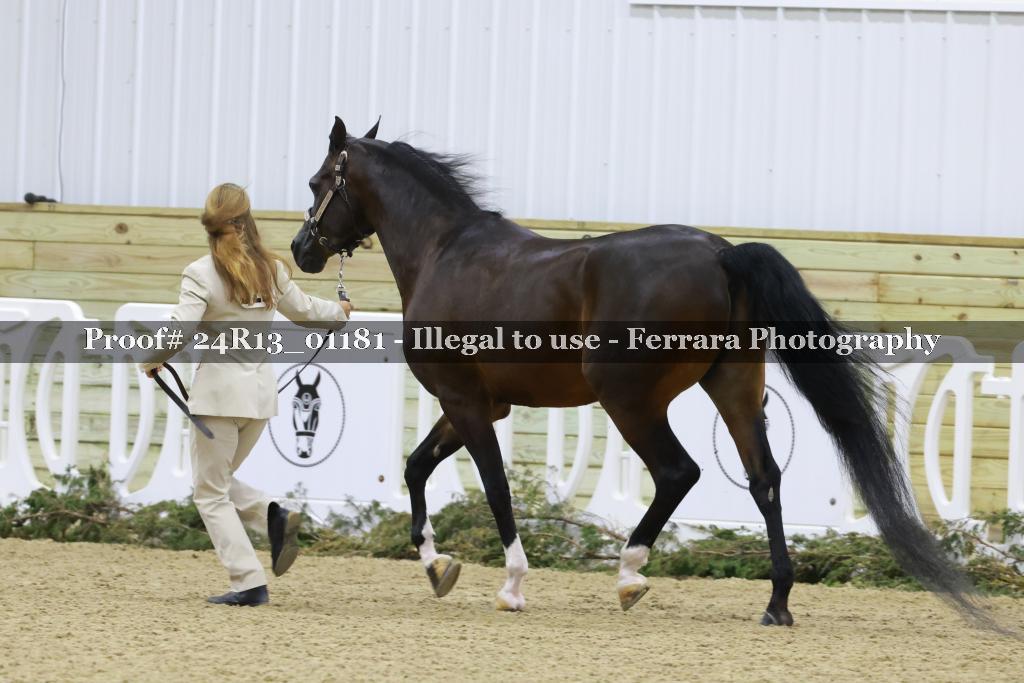 Proof 24R13_01181