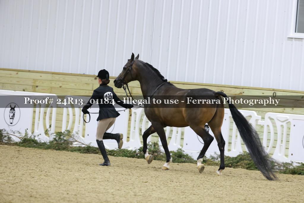 Proof 24R13_01184