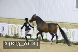 24R13_01184 proof