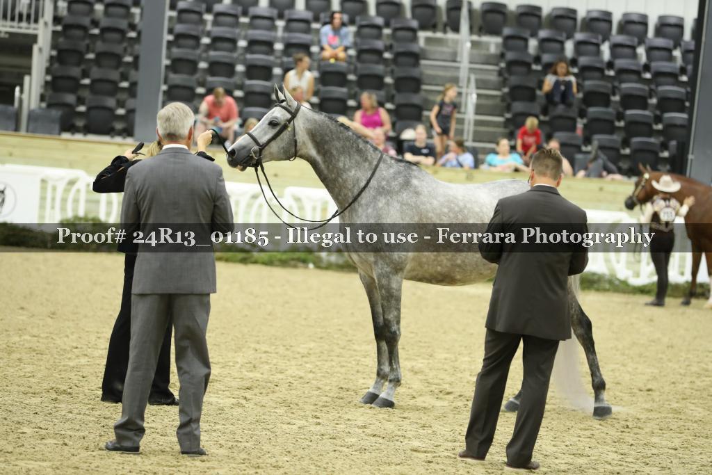 Proof 24R13_01185