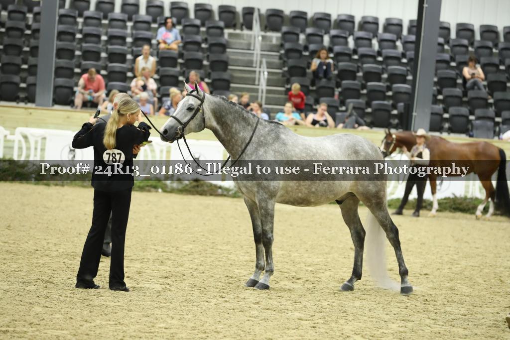 Proof 24R13_01186