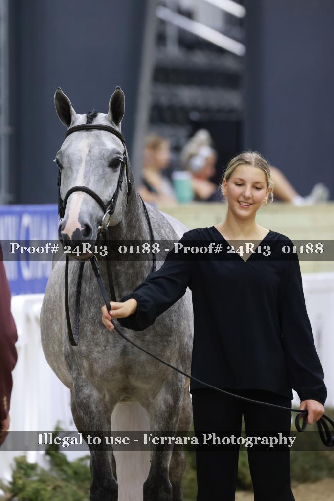Proof 24R13_01188