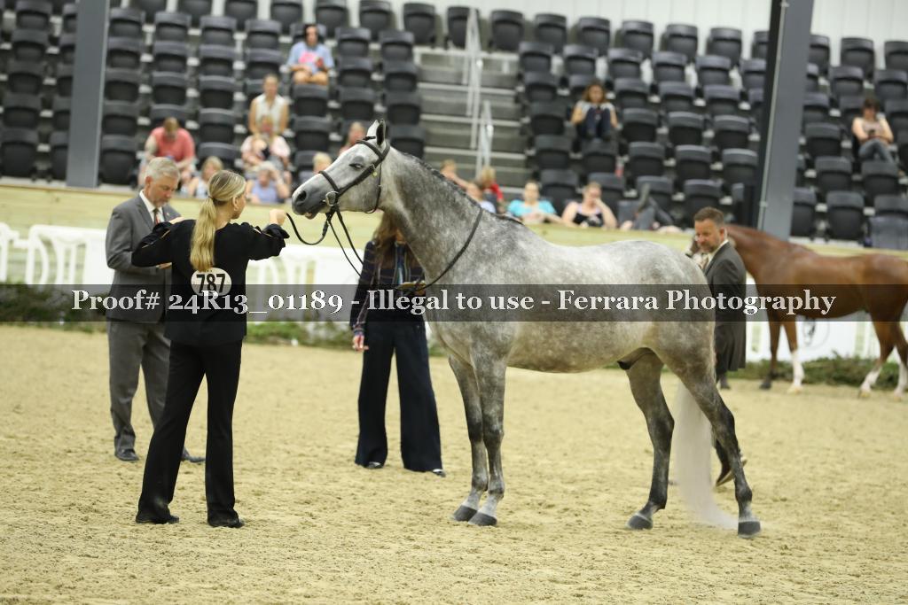 Proof 24R13_01189