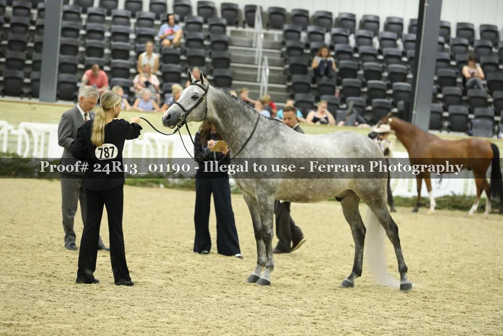 Proof 24R13_01190