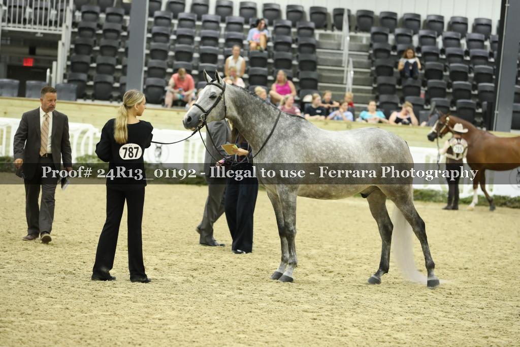 Proof 24R13_01192