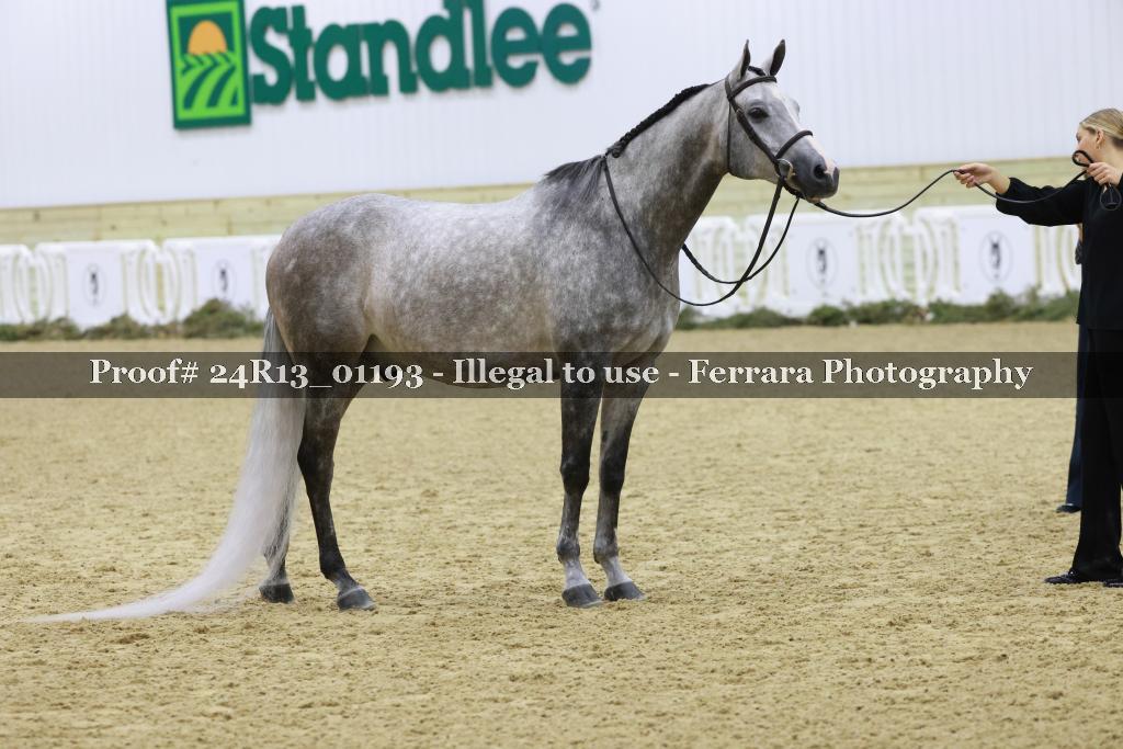 Proof 24R13_01193