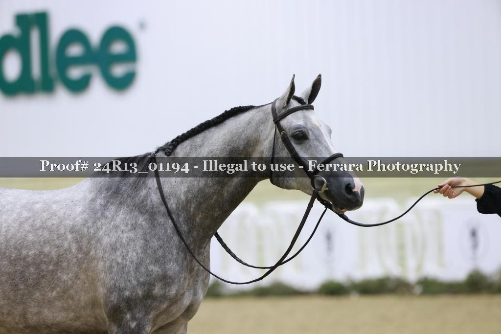Proof 24R13_01194
