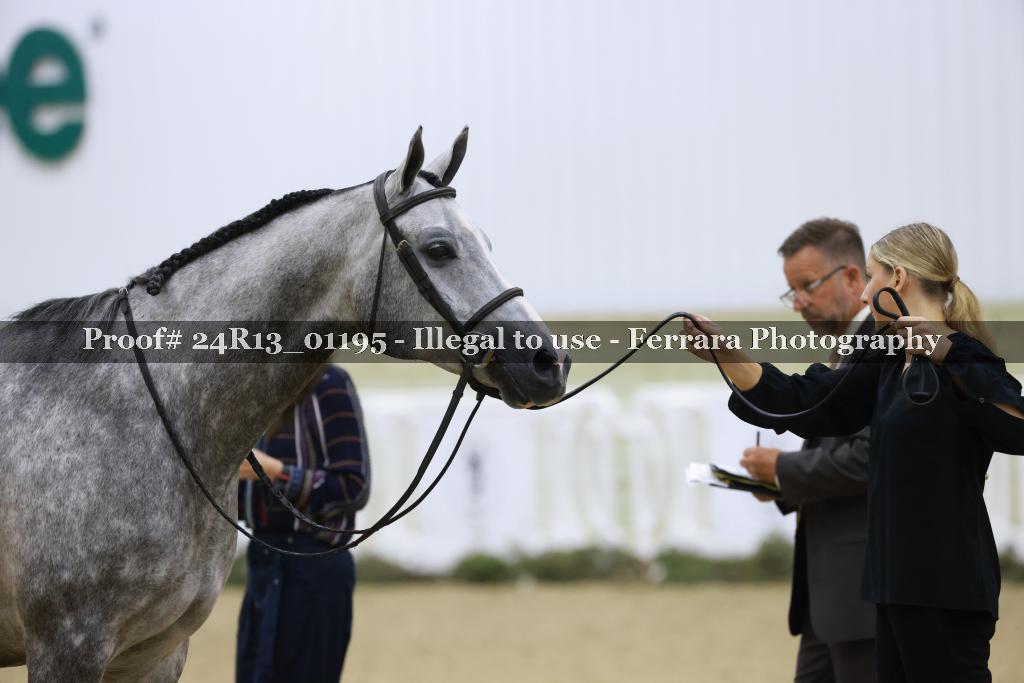 Proof 24R13_01195