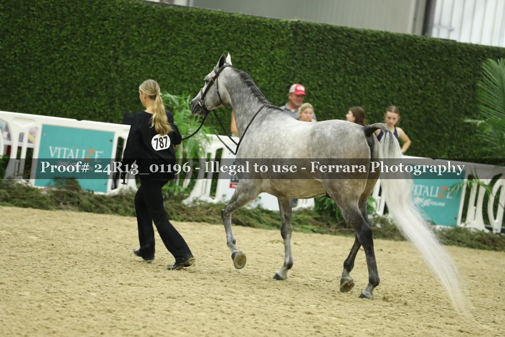 Proof 24R13_01196