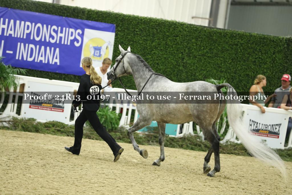 Proof 24R13_01197