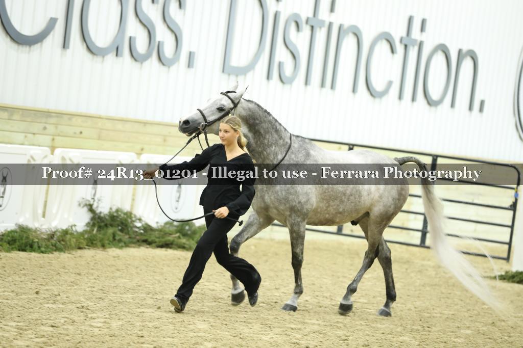 Proof 24R13_01201