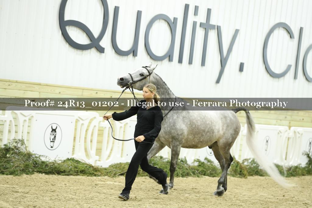 Proof 24R13_01202