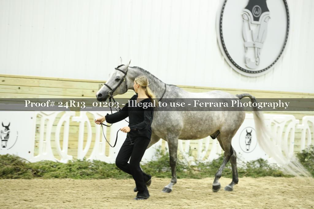 Proof 24R13_01203