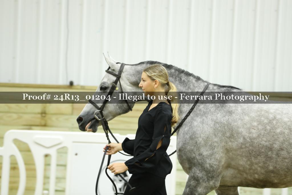 Proof 24R13_01204