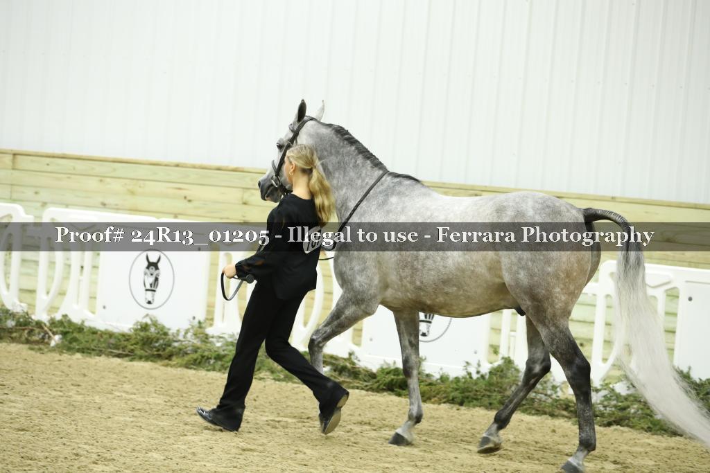 Proof 24R13_01205