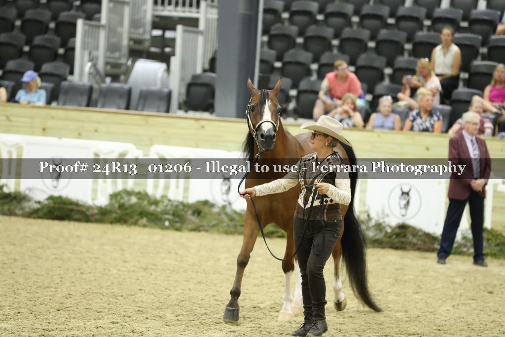 Proof 24R13_01206