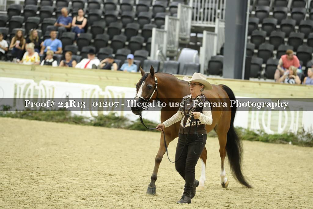 Proof 24R13_01207