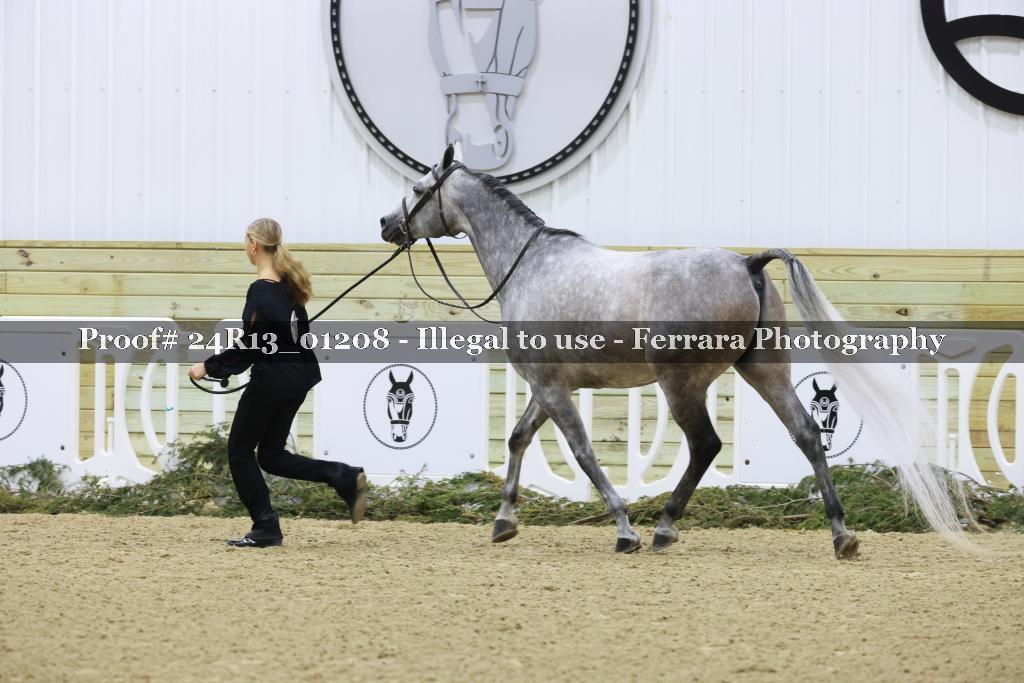 Proof 24R13_01208