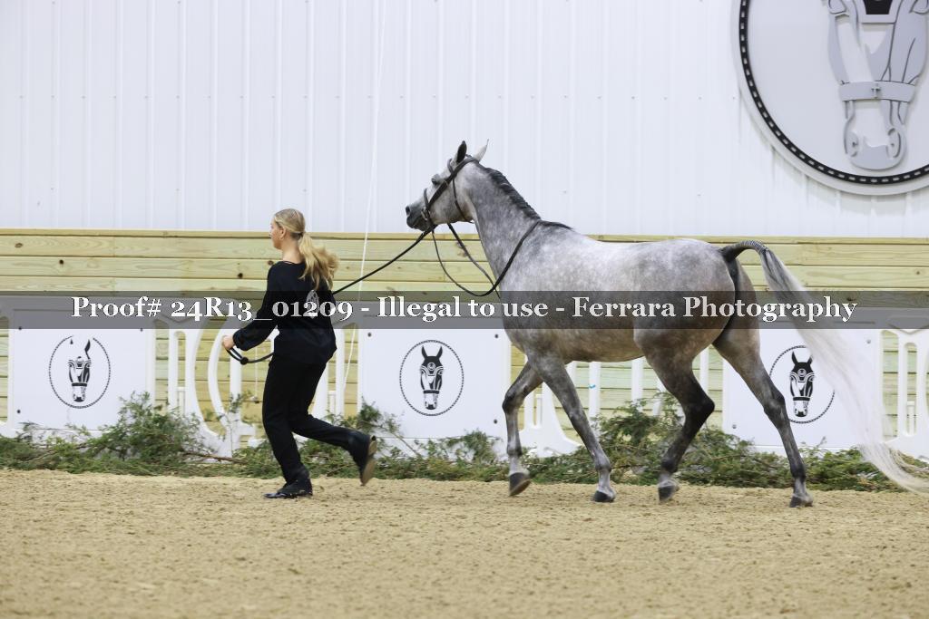 Proof 24R13_01209