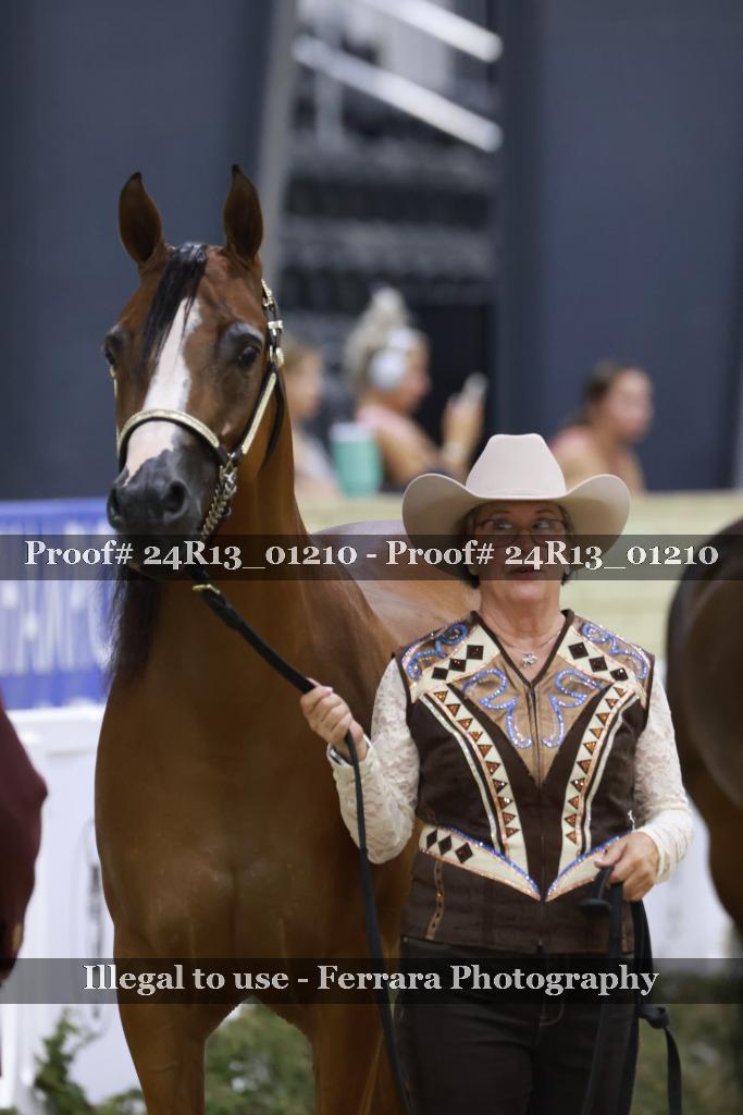 Proof 24R13_01210