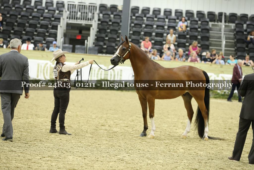 Proof 24R13_01211