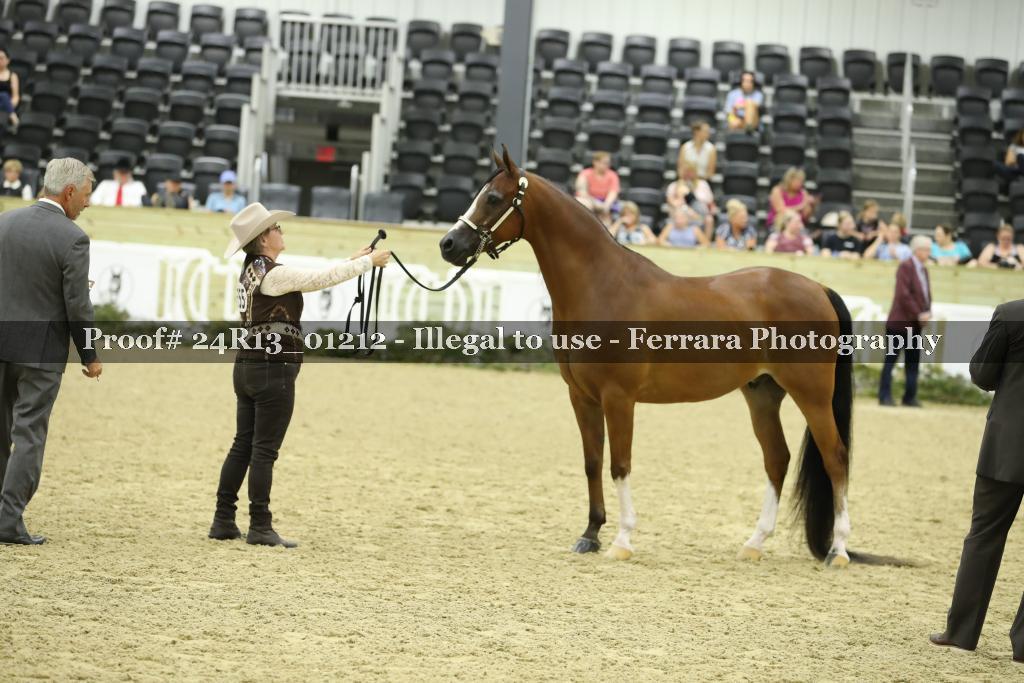 Proof 24R13_01212