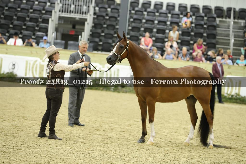 Proof 24R13_01215