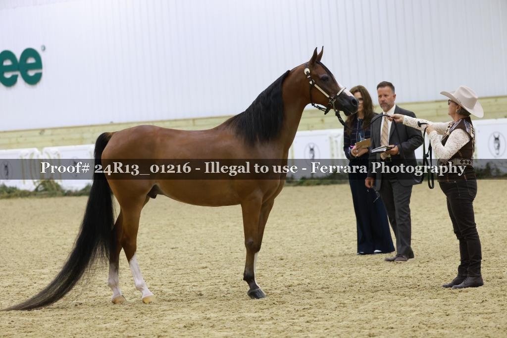 Proof 24R13_01216