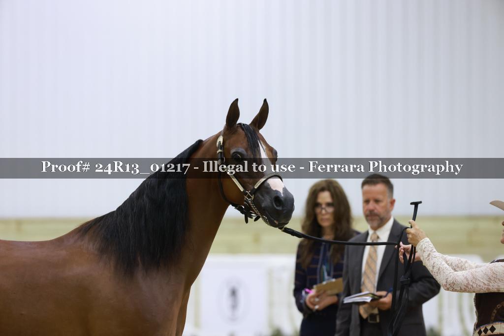 Proof 24R13_01217