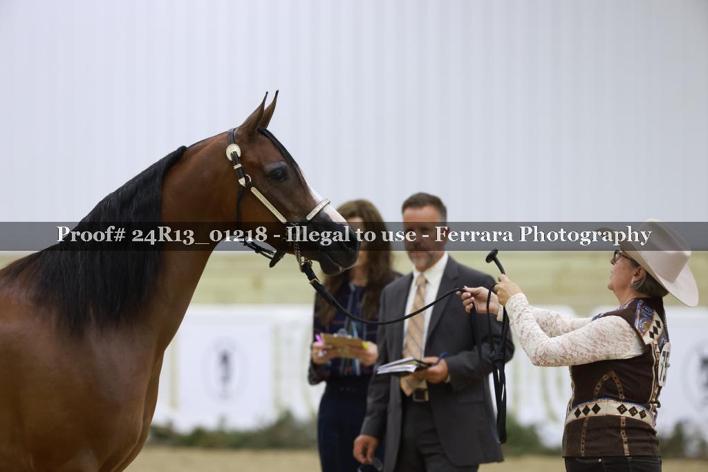 Proof 24R13_01218