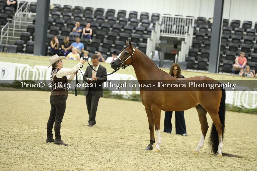 Proof 24R13_01221