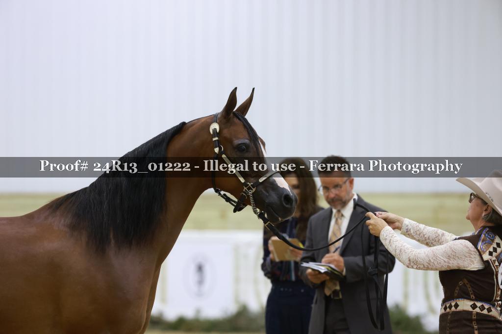 Proof 24R13_01222