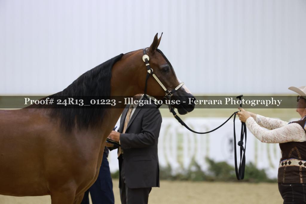 Proof 24R13_01223