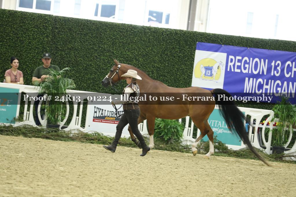 Proof 24R13_01224