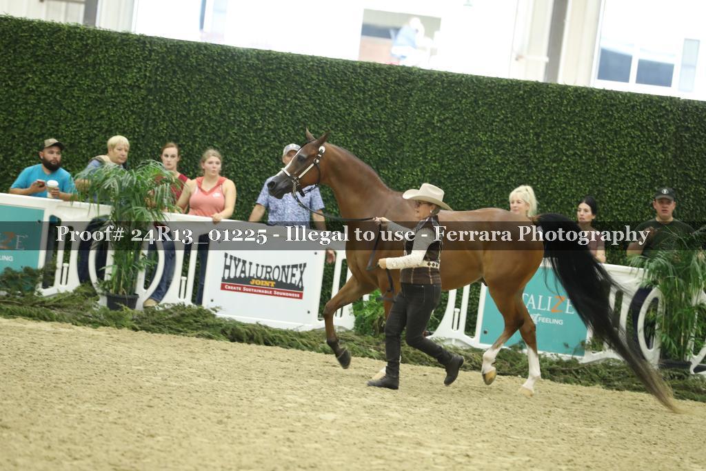 Proof 24R13_01225