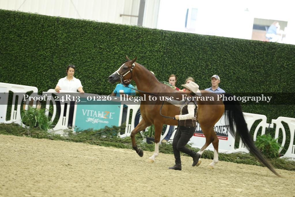 Proof 24R13_01226