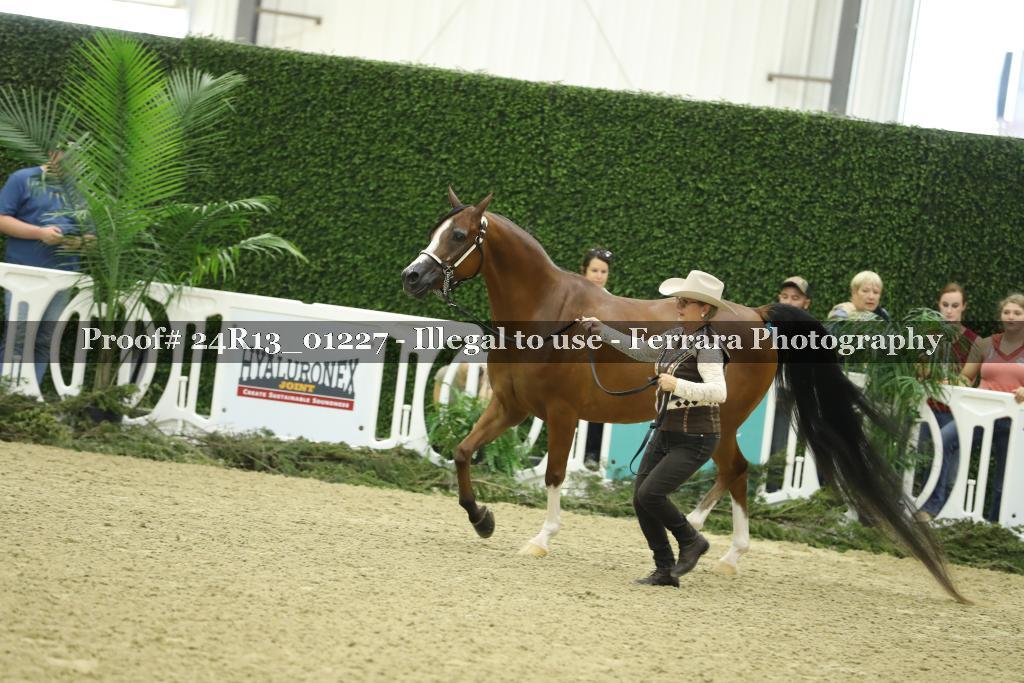 Proof 24R13_01227