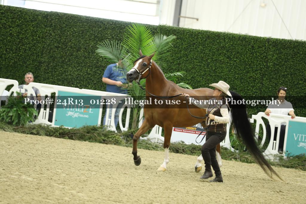 Proof 24R13_01228